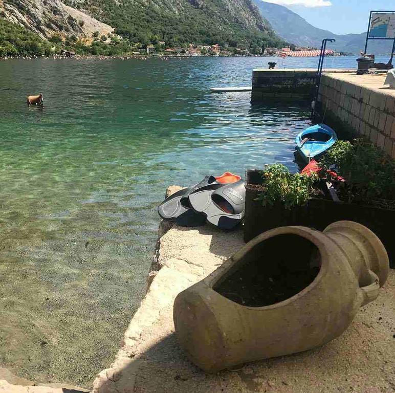 Lukiduki At The -